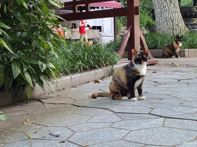 【美好遇見】+生活隨拍