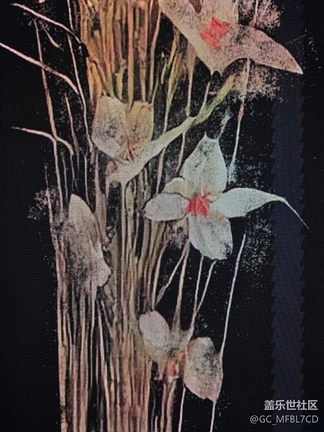 #遠(yuǎn)近皆宜——上海光影節(jié)