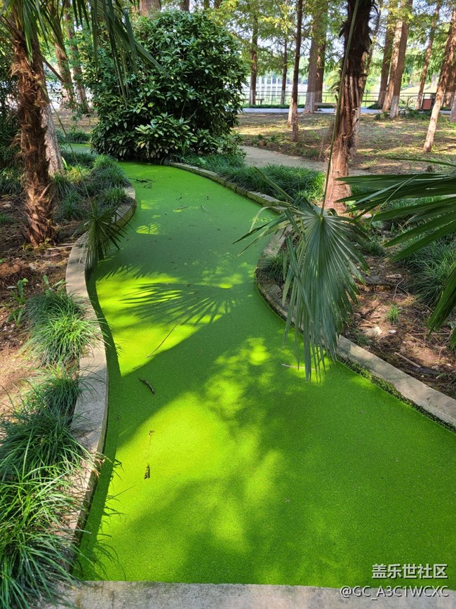 #遠近皆宜——樹林