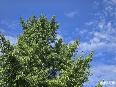 【美好遇見(jiàn)】+每日散步