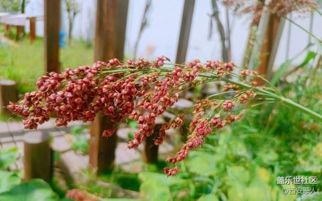 【金色秋天】萬(wàn)物可愛(ài)
