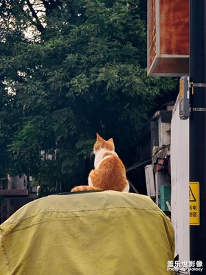 【美好遇見(jiàn)】隨拍