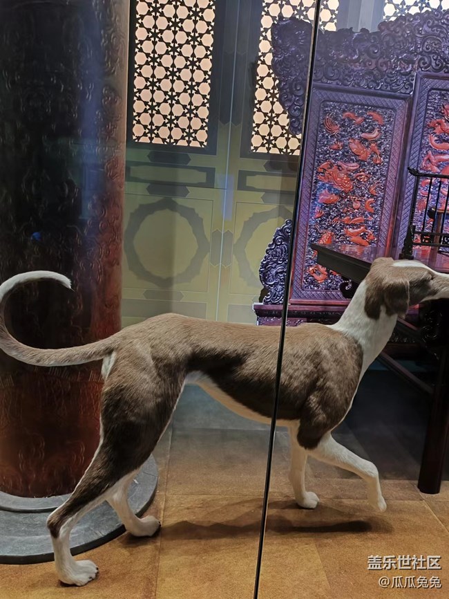 【回顧貼】星部落沈陽博物館及暗光拍攝