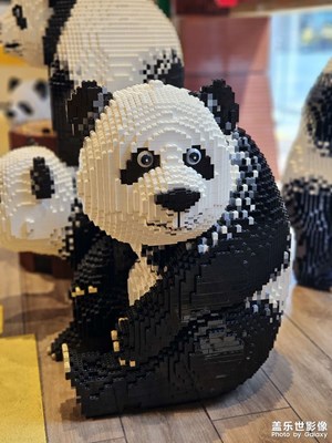 【永恒瞬間】積木??