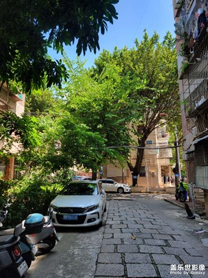 【永恒瞬間】+捕捉光影