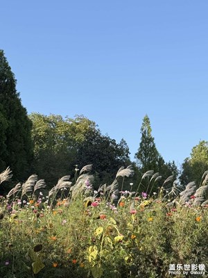 告別九月的漫山遍野，迎接十月的云卷云舒！