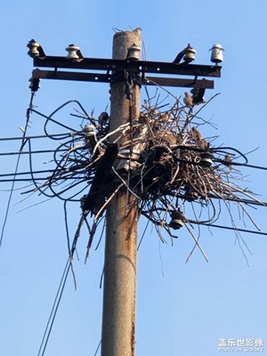 【金九銀十迎雙節(jié)】＋隨手拍