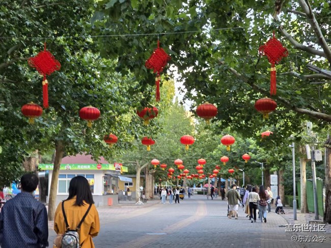 【影像映團圓】大紅燈籠高高掛