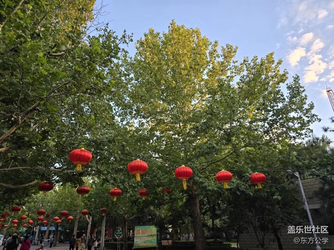 【影像映團圓】大紅燈籠高高掛