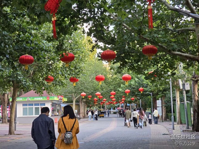 【影像映團圓】大紅燈籠高高掛