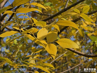 【永恒瞬間】+定格美好