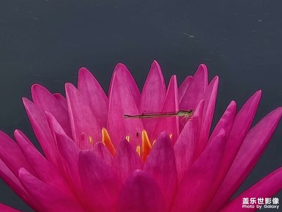 【永恒瞬間】留住美好