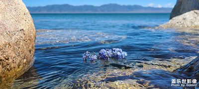 熱愛可抵歲月漫長