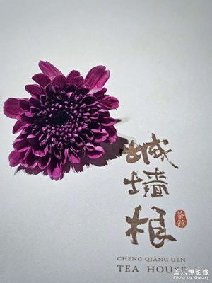 【永恒瞬間】+城墻根