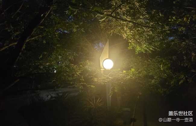 【三星超視覺夜拍】公園的燈