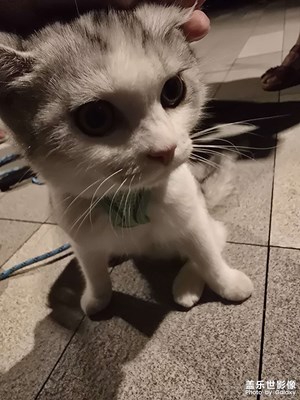 【永恒瞬間】+定格美好