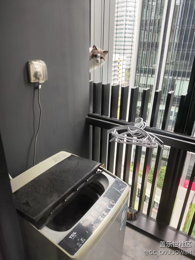 【中秋限定】偷偷擼了鄰居家的貓