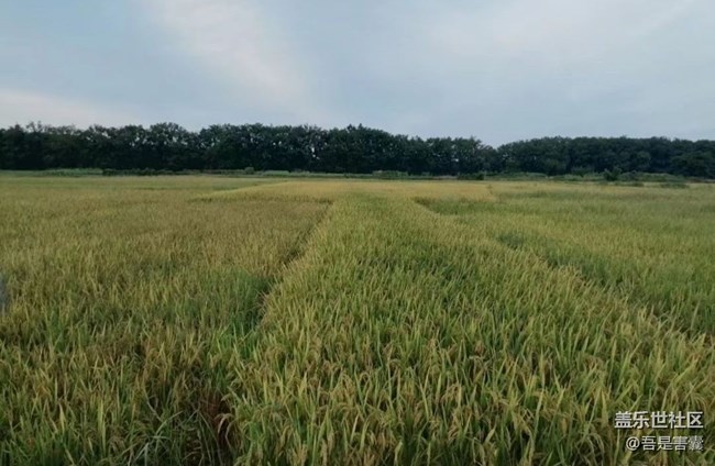 【一起來(lái)打卡秋天】放假回家