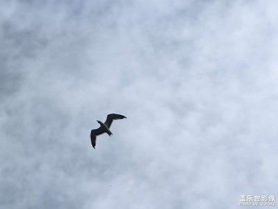 【永恒瞬間】捕捉瞬間