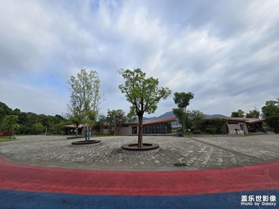 隨手拍