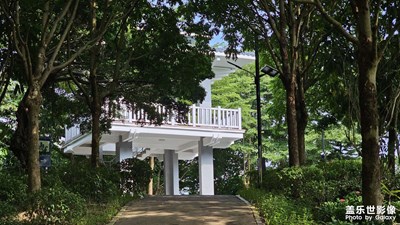 【金九銀十迎雙節(jié)】青青草地