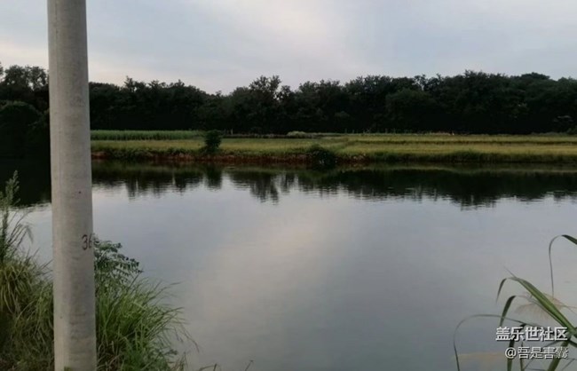 【一起來(lái)打卡秋天】放假回家