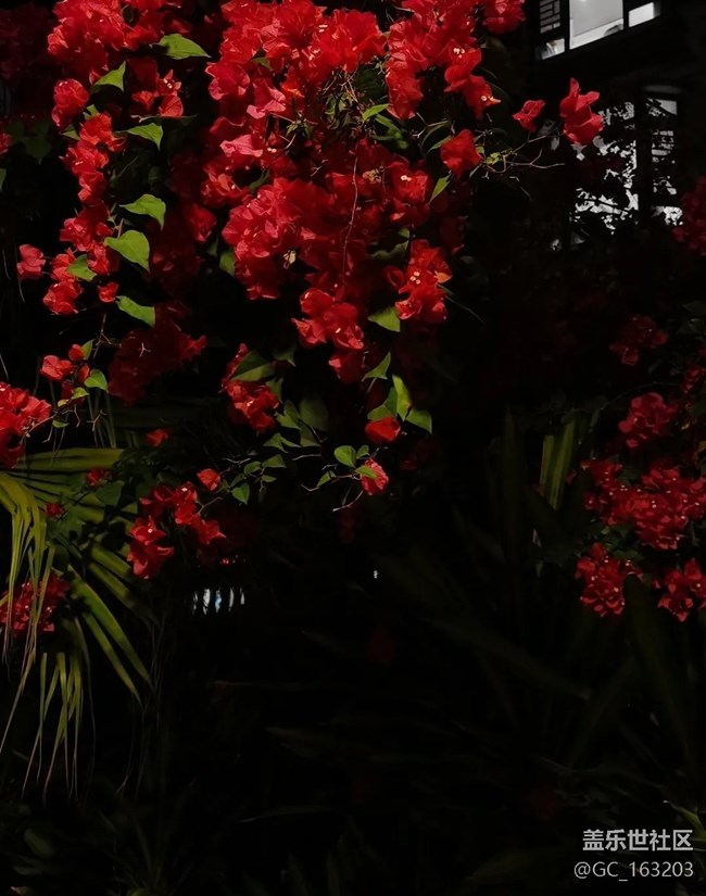 【三星超視覺夜拍】散步隨拍