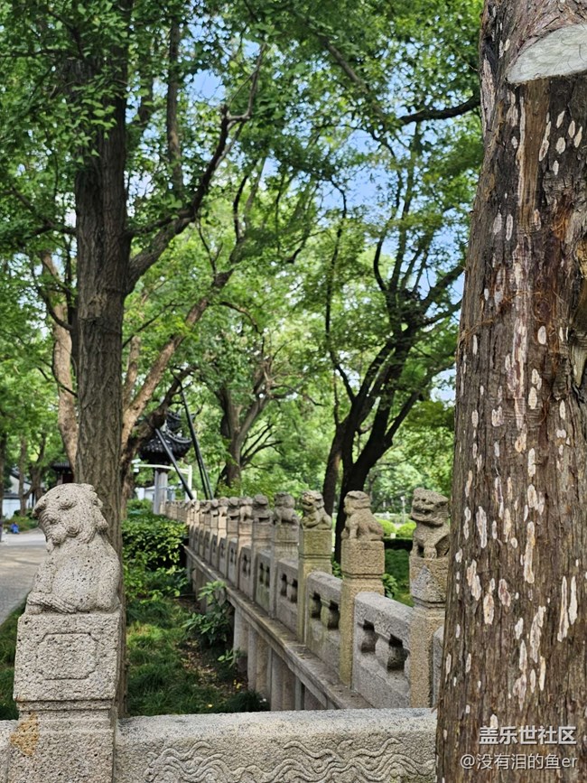 【嘉定孔廟線下攝影活動】+嘉定孔廟回顧貼