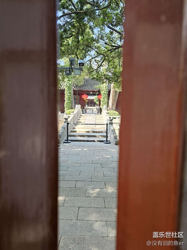 【嘉定孔廟線下攝影活動】+嘉定孔廟回顧貼