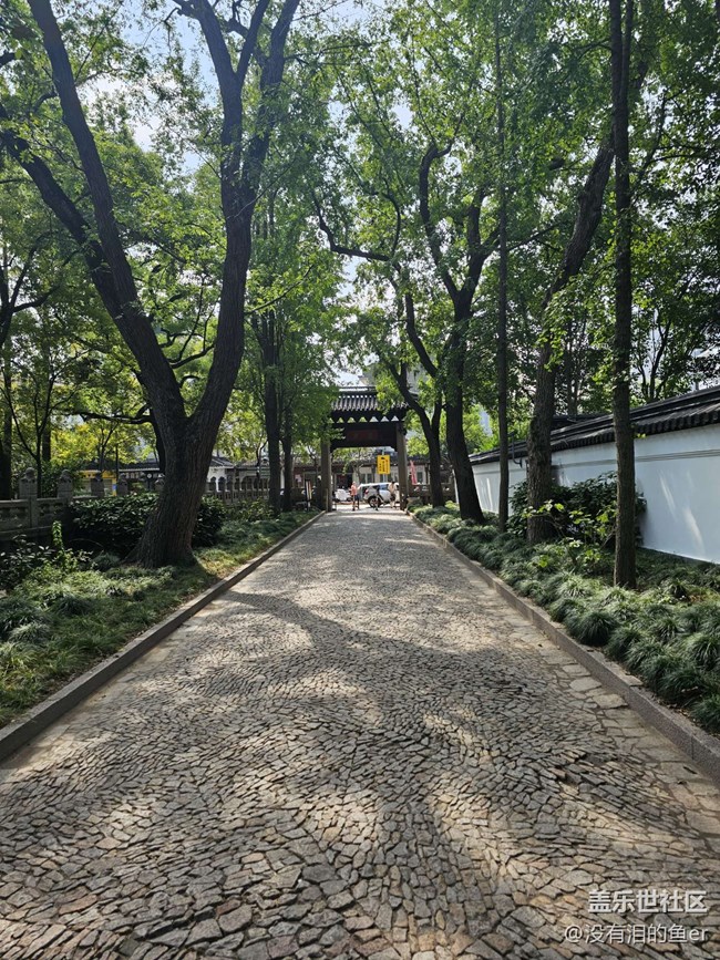 【嘉定孔廟線下攝影活動】+嘉定孔廟回顧貼