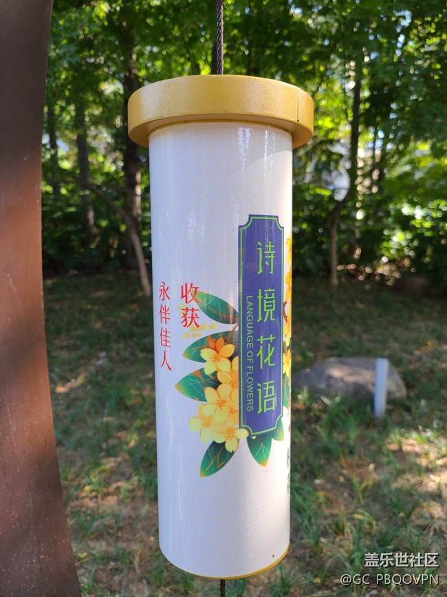 【金色秋天】+秋天的公園