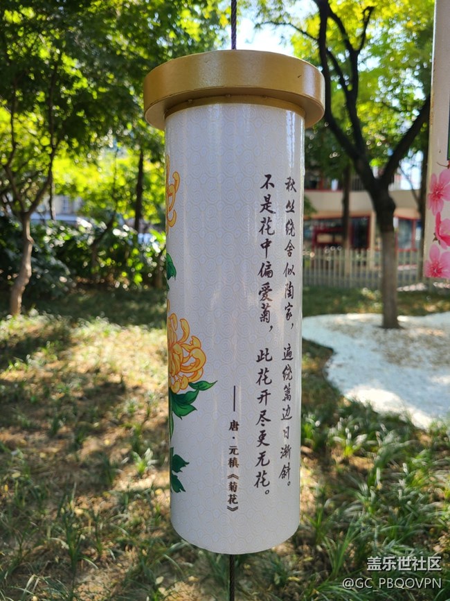 【金色秋天】+秋天的公園