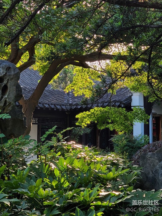 【與秋風(fēng)相擁】+秋葉