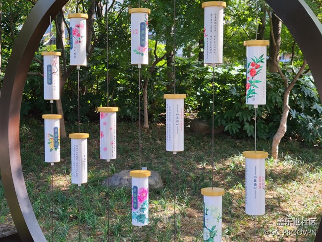 【金色秋天】+秋天的公園