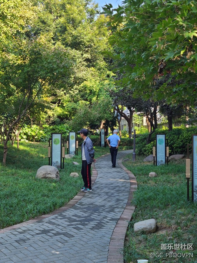 【金色秋天】+秋天的公園