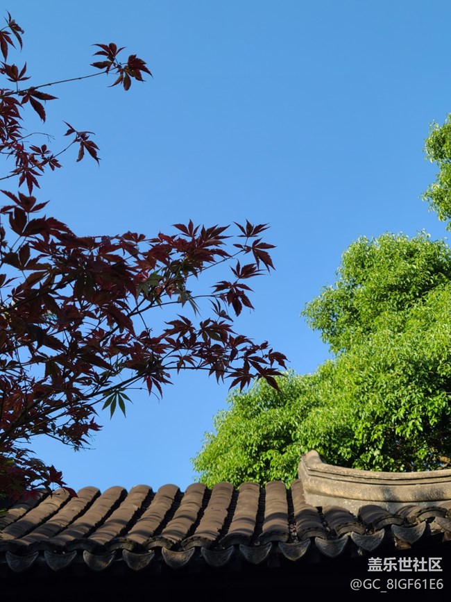 【與秋風(fēng)相擁】+秋葉