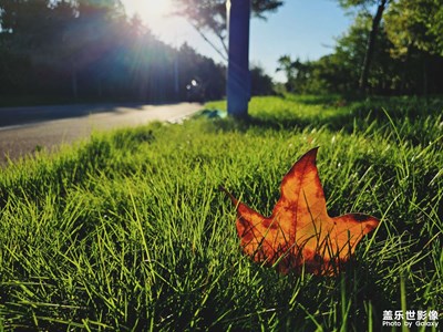 植物園日常記錄