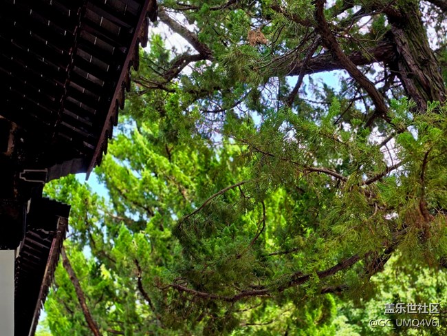 【嘉定孔廟線下攝影活動(dòng)】+人文環(huán)境