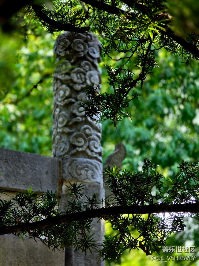 【嘉定孔廟線下攝影活動】+歷史給我們留下的