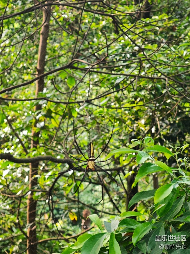 【活動回顧】深圳星部落9月28日陽臺山之行