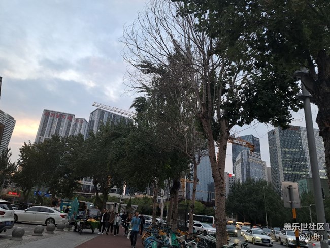 【酷爽金秋】秋意濃濃