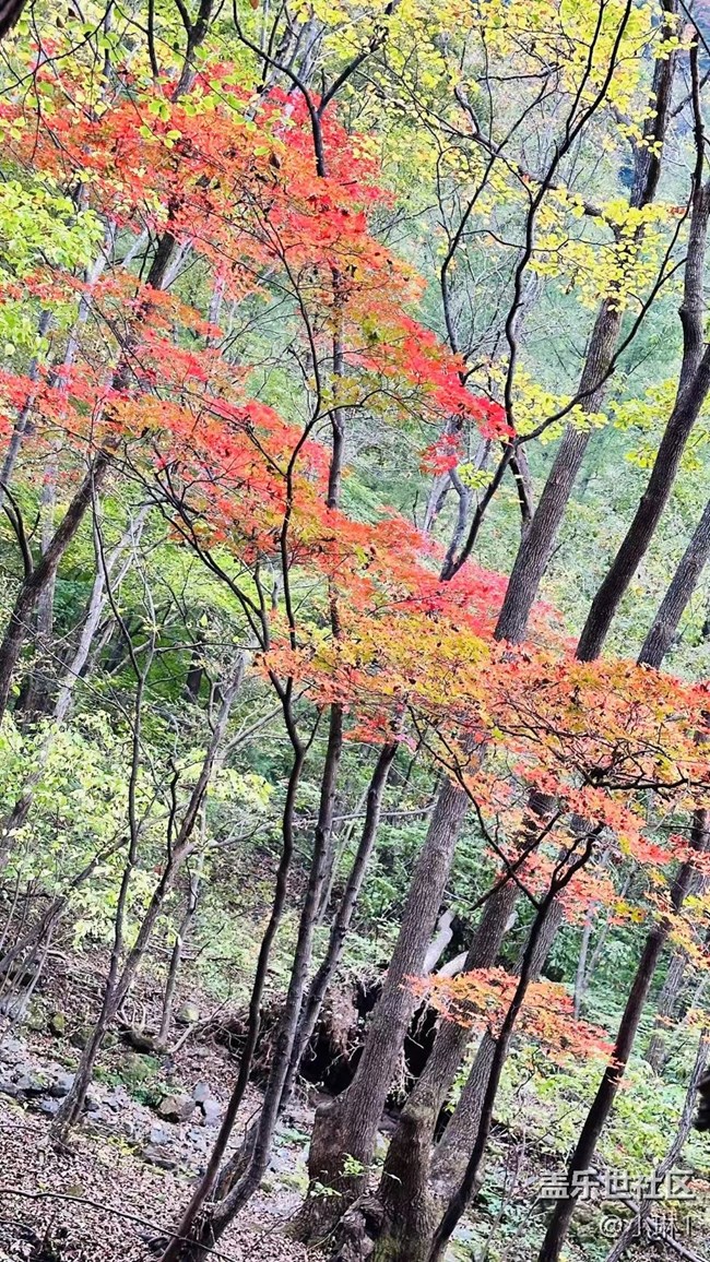 【酷爽金秋】秋意濃濃