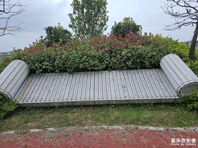 隨手拍