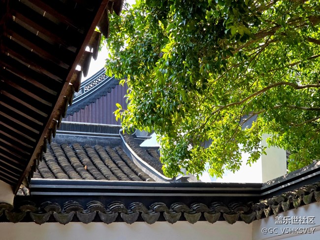 【嘉定孔廟線下攝影活動】+歷史給我們留下的