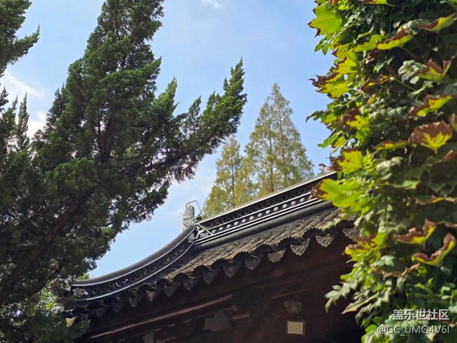 【嘉定孔廟線下攝影活動(dòng)】+人文環(huán)境