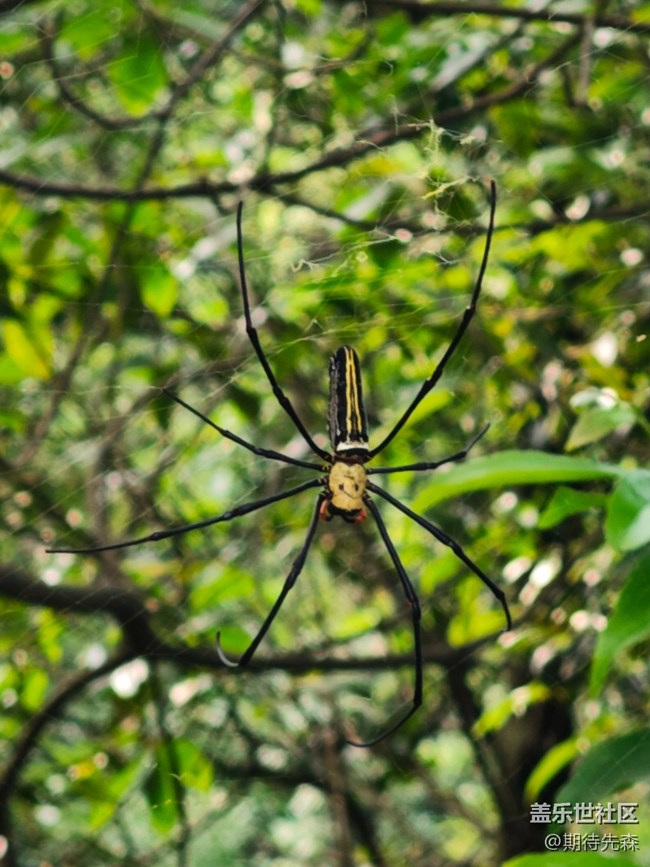 【活動回顧】深圳星部落9月28日陽臺山之行