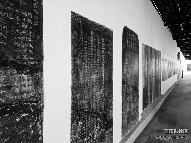 【嘉定孔廟線下攝影活動】+歷史給我們留下的