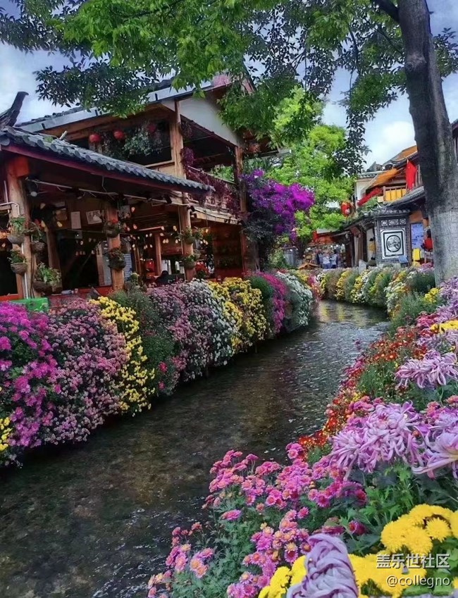 【我的十一假期】麗江古城熱鬧夜生活