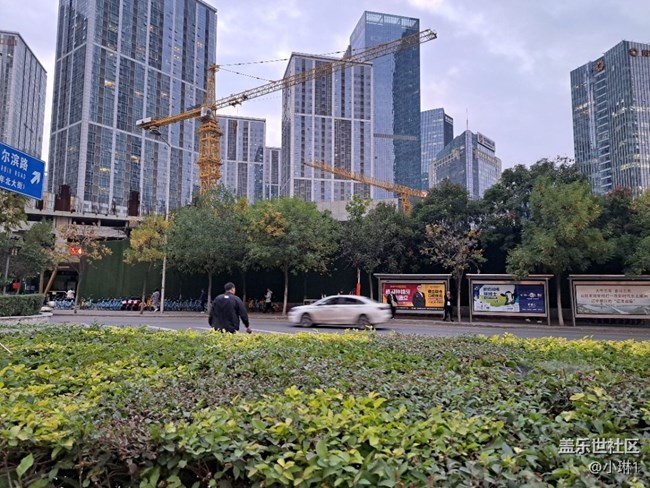 【酷爽金秋】秋意濃濃