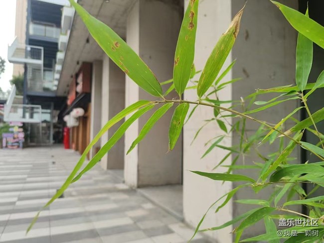 【團(tuán)結(jié)新里行攝】+穿插在朝陽居民中的潮流